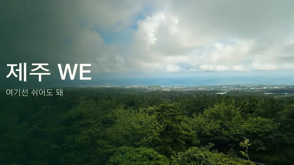 “제주 WE” 작품의 대표 이미지